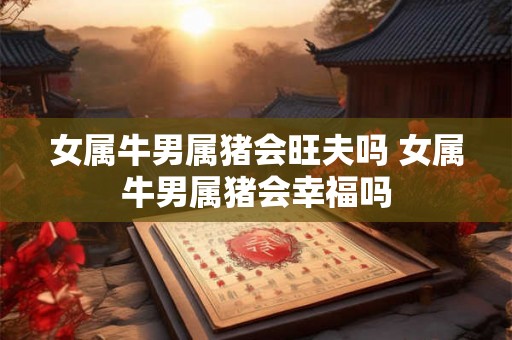 女属牛男属猪会旺夫吗 女属牛男属猪会幸福吗 女属牛男属猪会旺夫吗 女属牛男属猪会幸福吗