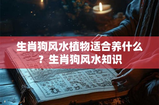 生肖狗风水植物适合养什么?生肖狗风水知识 生肖狗风水植物适合养什么?生肖狗风水知识