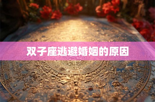 双子座逃避婚姻的原因