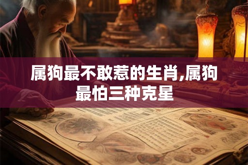 属狗最不敢惹的生肖,属狗最怕三种克星 属狗最不敢惹的生肖,属狗最怕三种克星