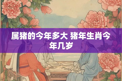 属猪的今年多大 猪年生肖今年几岁