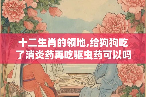 十二生肖的领地,给狗狗吃了消炎药再吃驱虫药可以吗？