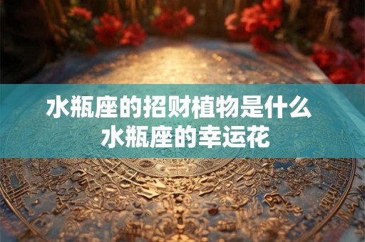 水瓶座的招财植物是什么  水瓶座的幸运花