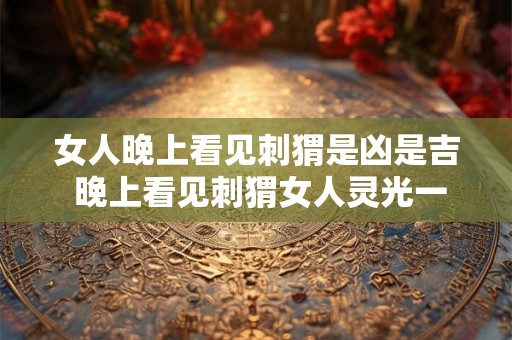 女人晚上看见刺猬是凶是吉 晚上看见刺猬女人灵光一闪