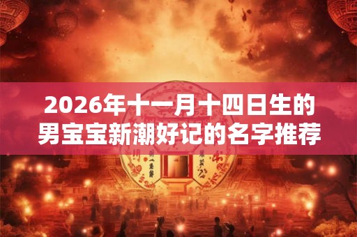 2026年十一月十四日生的男宝宝新潮好记的名字推荐