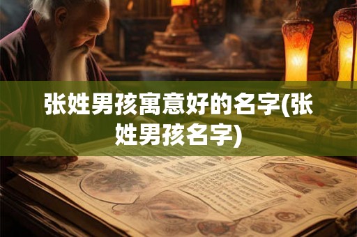 张姓男孩寓意好的名字(张姓男孩名字)