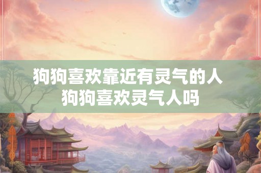 狗狗喜欢靠近有灵气的人 狗狗喜欢灵气人吗