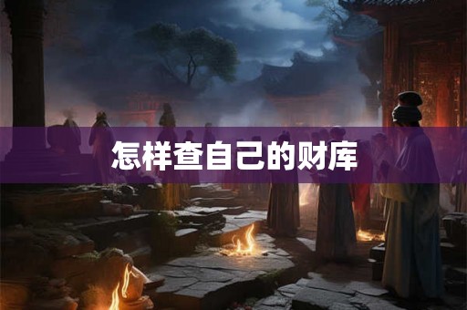 怎样查自己的财库
