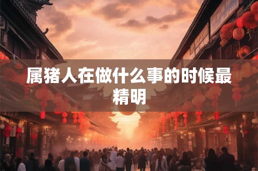 属猪人在做什么事的时候最精明