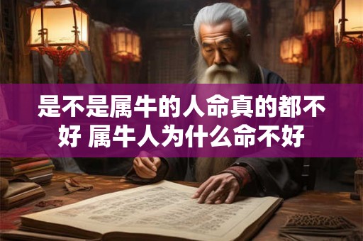 是不是属牛的人命真的都不好 属牛人为什么命不好