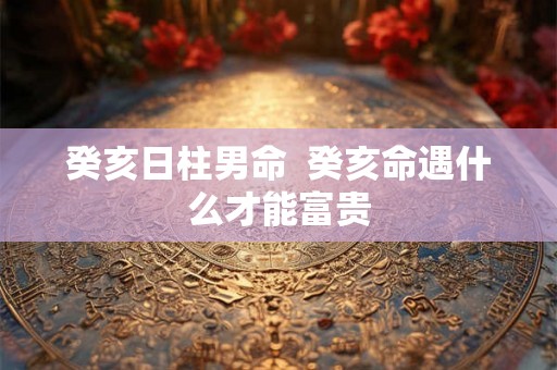 癸亥日柱男命  癸亥命遇什么才能富贵