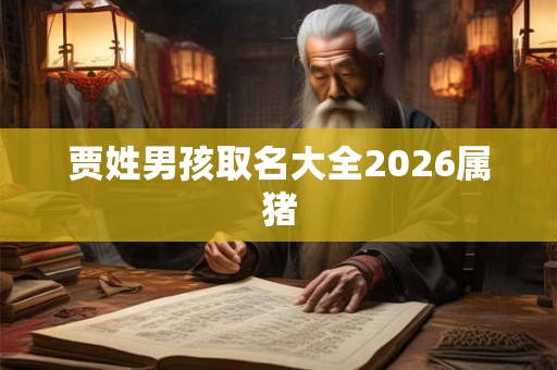贾姓男孩取名大全2026属猪