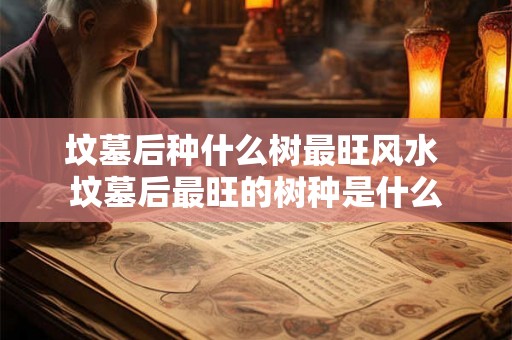 坟墓后种什么树最旺风水 坟墓后最旺的树种是什么