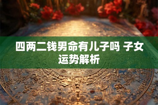 四两二钱男命有儿子吗 子女运势解析