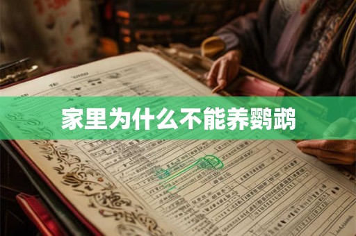 家里为什么不能养鹦鹉