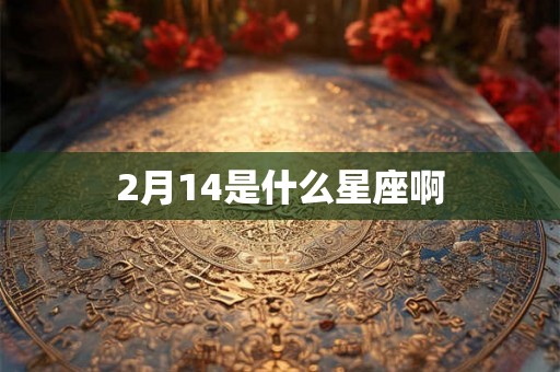 2月14是什么星座啊