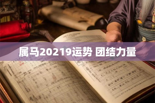 属马20219运势 团结力量
