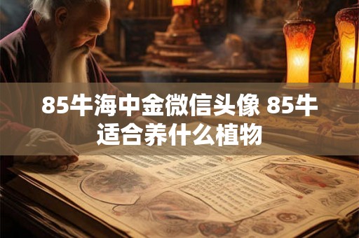 85牛海中金微信头像 85牛适合养什么植物
