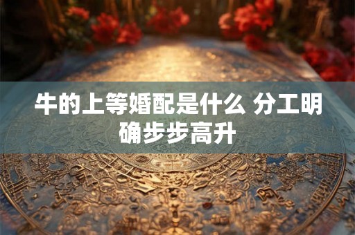 牛的上等婚配是什么 分工明确步步高升