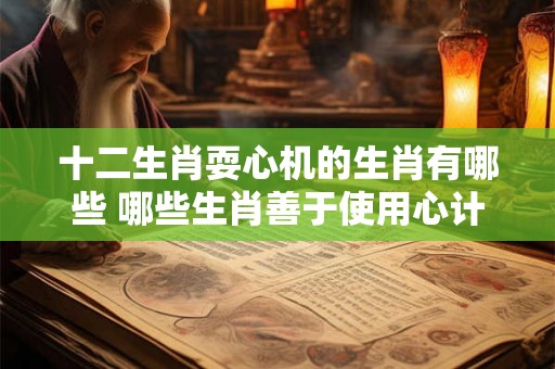 十二生肖耍心机的生肖有哪些 哪些生肖善于使用心计