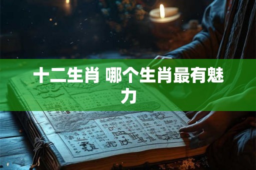 十二生肖 哪个生肖最有魅力 十二生肖 哪个生肖最有魅力