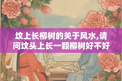 坟上长柳树的关于风水,请问坟头上长一颗柳树好不好 坟上长柳树的关于风水,请问坟头上长一颗柳树好不好