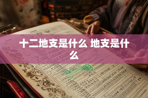十二地支是什么 地支是什么