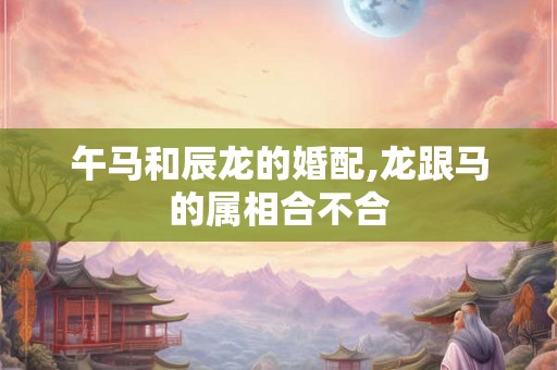 午马和辰龙的婚配,龙跟马的属相合不合