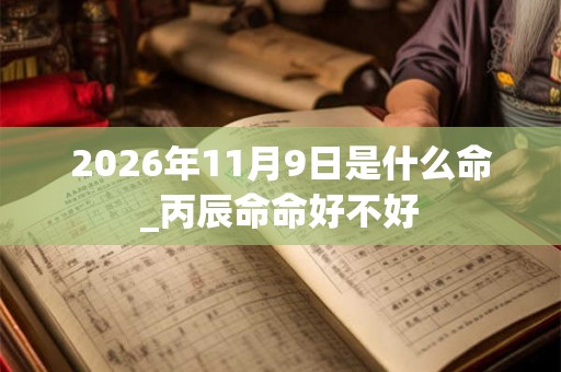 2026年11月9日是什么命_丙辰命命好不好