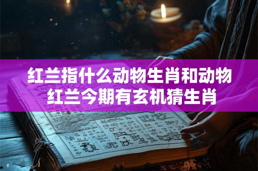 红兰指什么动物生肖和动物 红兰今期有玄机猜生肖 红兰指什么动物生肖和动物 红兰今期有玄机猜生肖