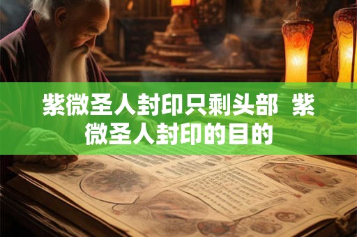 紫微圣人封印只剩头部 紫微圣人封印的目的 紫微圣人封印只剩头部 紫微圣人封印的目的
