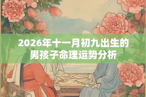 2026年十一月初九出生的男孩子命理运势分析