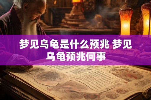 梦见乌龟是什么预兆 梦见乌龟预兆何事 梦见乌龟是什么预兆 梦见乌龟预兆何事