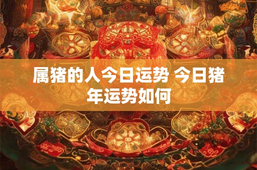 属猪的人今日运势 今日猪年运势如何