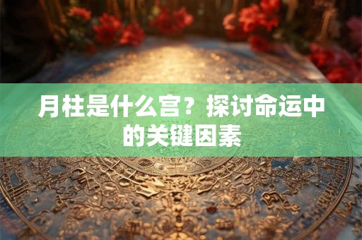 月柱是什么宫？探讨命运中的关键因素