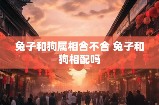 兔子和狗属相合不合 兔子和狗相配吗