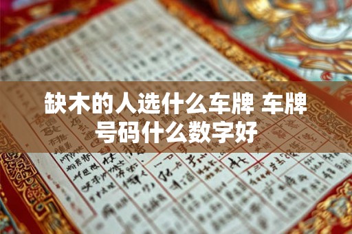 缺木的人选什么车牌 车牌号码什么数字好