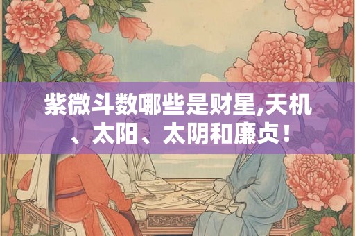 紫微斗数哪些是财星,天机、太阳、太阴和廉贞！