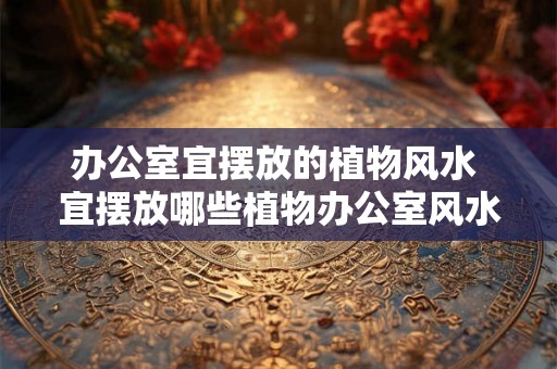 办公室宜摆放的植物风水 宜摆放哪些植物办公室风水最佳