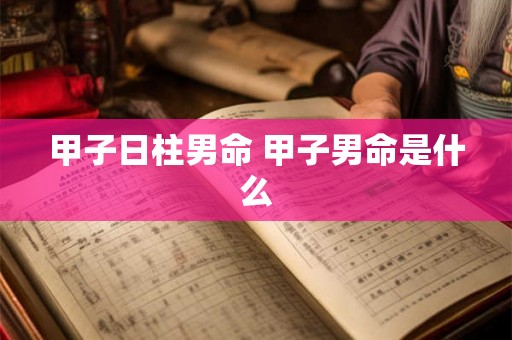 甲子日柱男命 甲子男命是什么