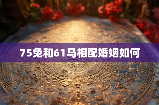 75兔和61马相配婚姻如何