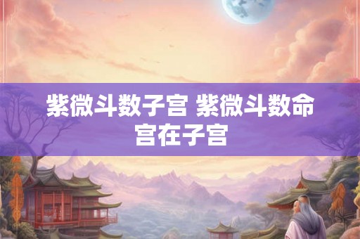 紫微斗数子宫 紫微斗数命宫在子宫