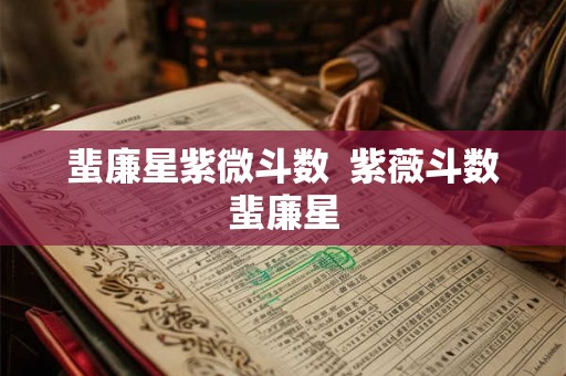 蜚廉星紫微斗数  紫薇斗数蜚廉星
