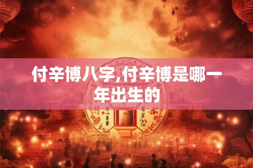 付辛博八字,付辛博是哪一年出生的