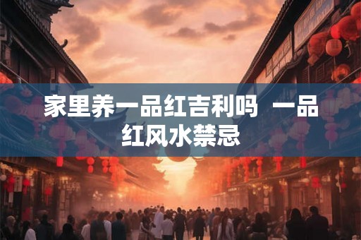 家里养一品红吉利吗  一品红风水禁忌