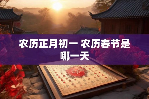 农历正月初一 农历春节是哪一天
