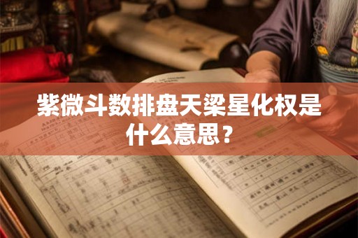 紫微斗数排盘天梁星化权是什么意思? 紫微斗数排盘天梁星化权是什么意思?
