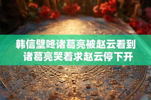 韩信壁咚诸葛亮被赵云看到  诸葛亮哭着求赵云停下开车