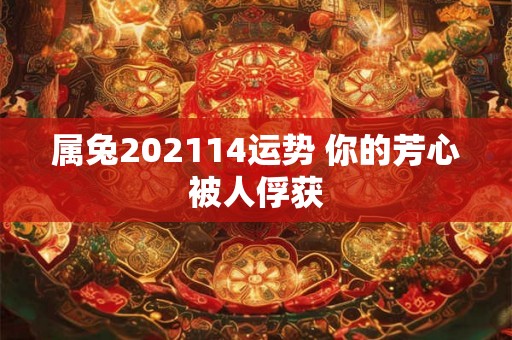 属兔202114运势 你的芳心被人俘获