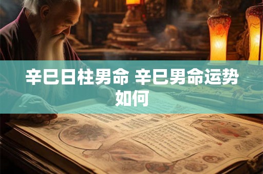 辛巳日柱男命 辛巳男命运势如何